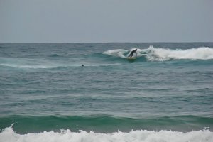 surf2-3.jpg