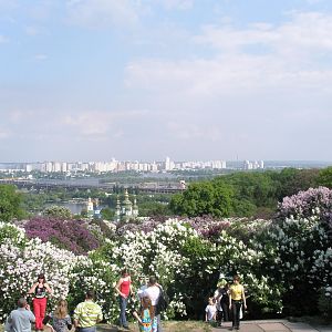 Ботанический сад в Киеве