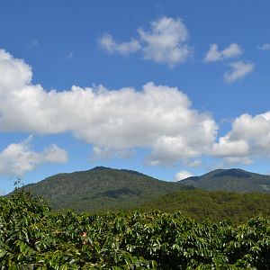Кофейные плантации и небо Вьетнама