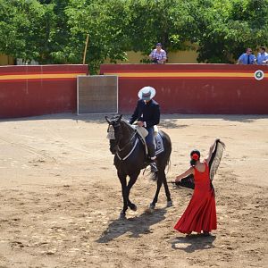 танец лошади и женщины - завораживающее зрелище!