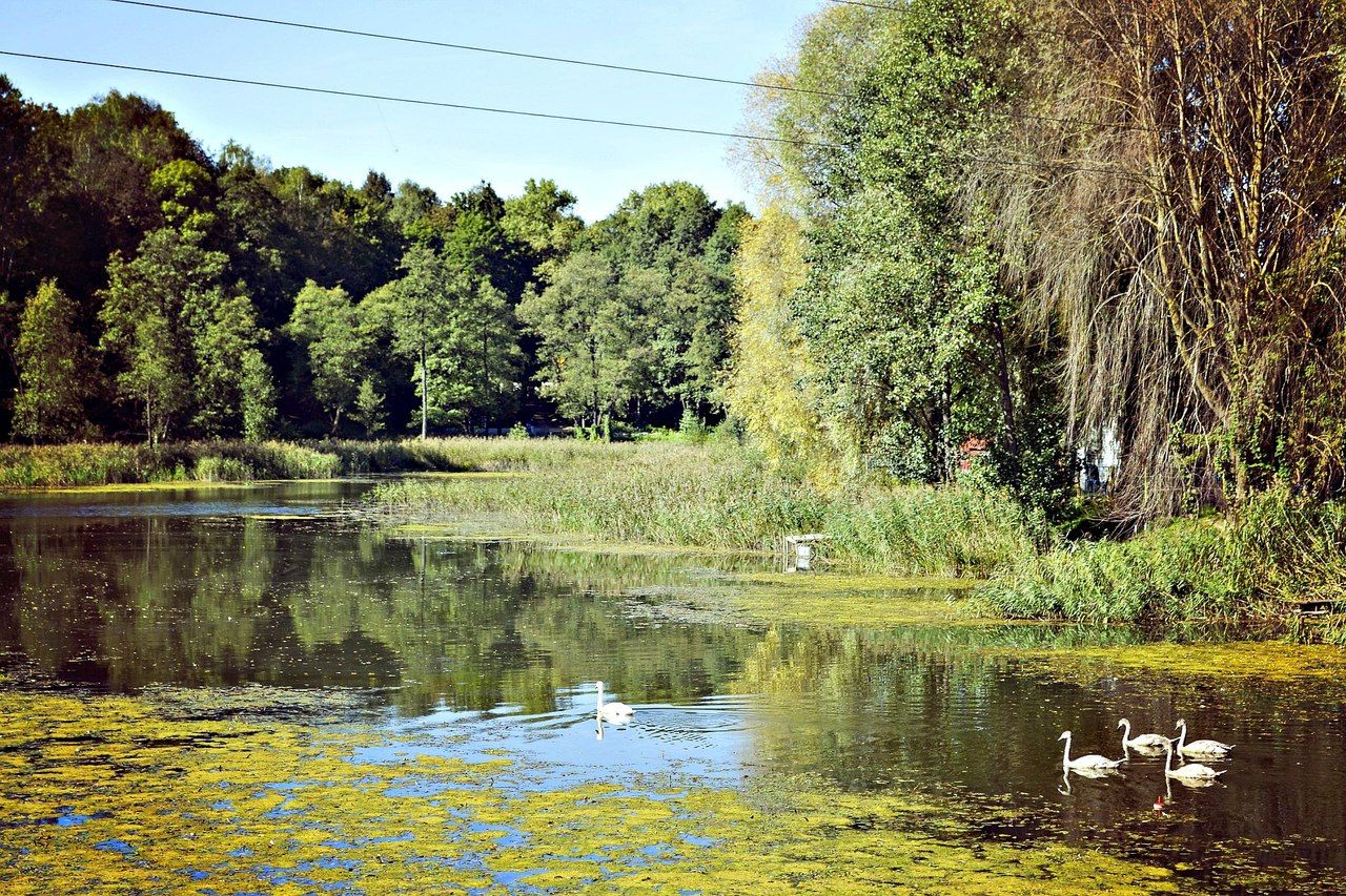 Логойск, РБ