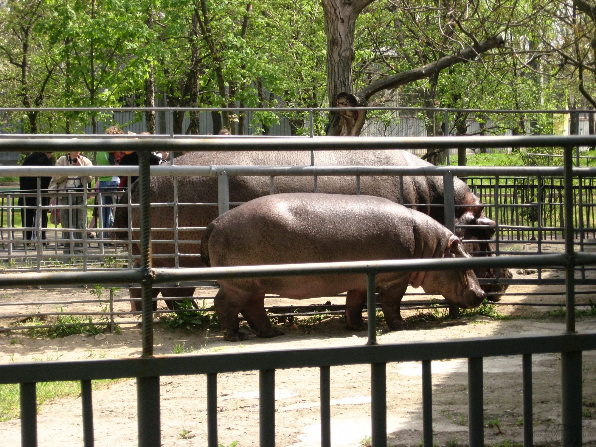 Николаев, Зоопарк