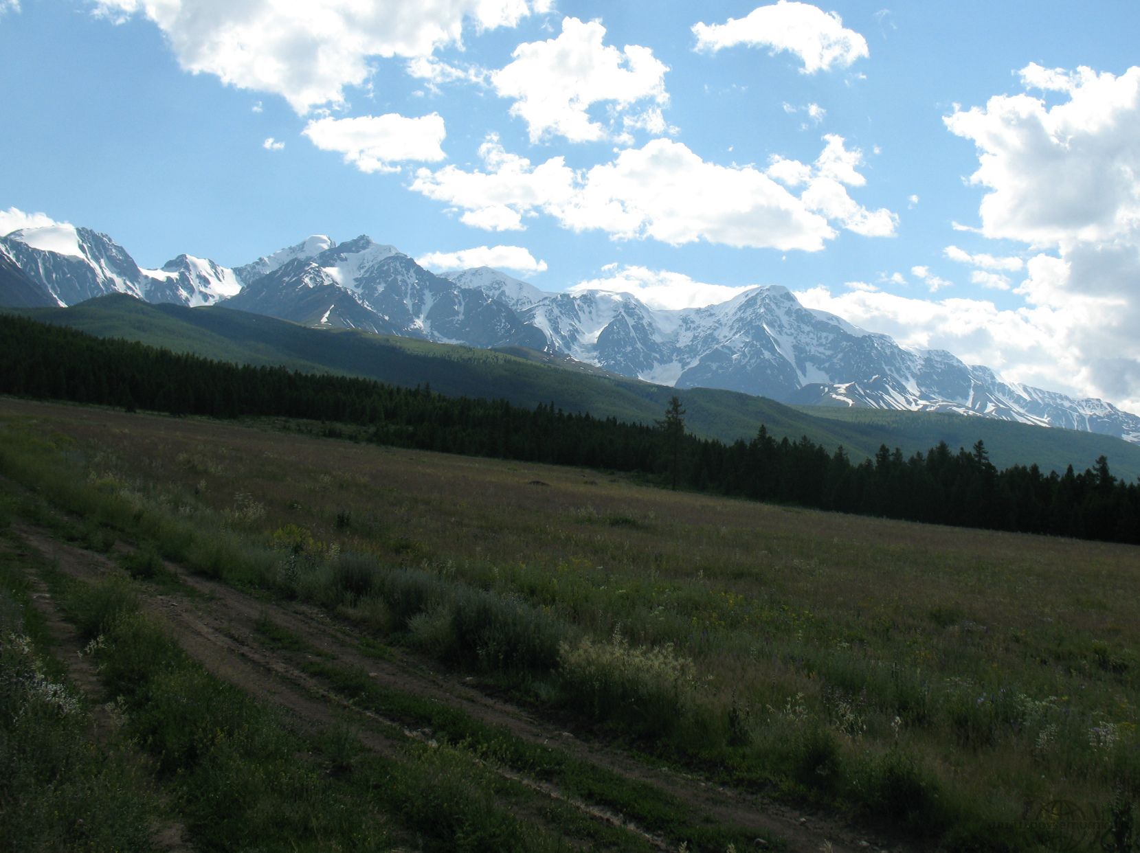 Курайская степь